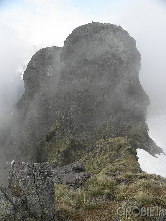 P5296852