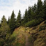 P5296786