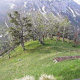 P5296789