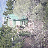 P5296794