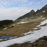 P5296796