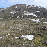 P5296800