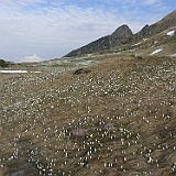 P5296801