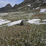 P5296810