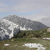 P5296812