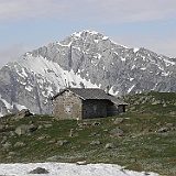 P5296813