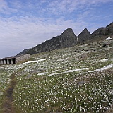 P5296814