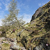P5296819