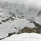 P5296856