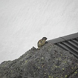 P5296859