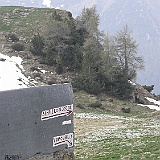 P5296875