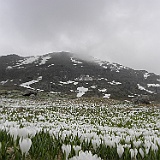 P5296877