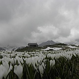 P5296879
