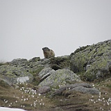 P5296889