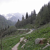 P5296898