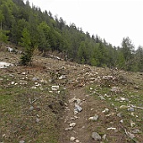 P5296902