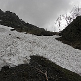 P5296916