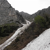 P5296917