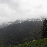 P5296920
