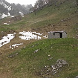 P5296921