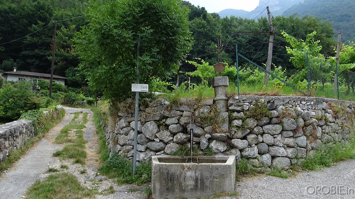 DSC04359