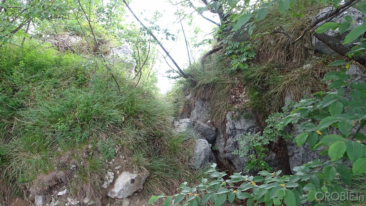 DSC04424