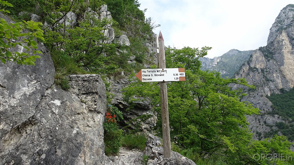 DSC04451