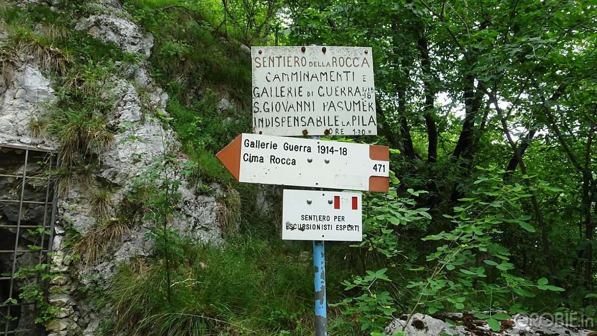 DSC04472