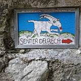 DSC04366