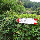 DSC04368