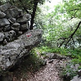DSC04371