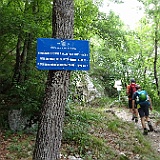 DSC04471