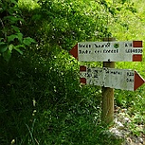 DSC04501