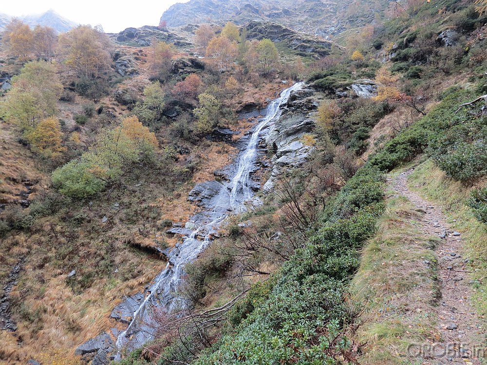 IMG 4755