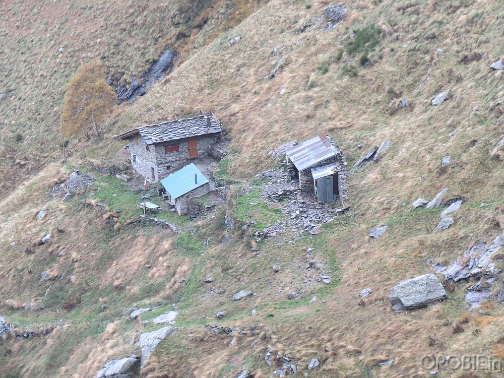 IMG 4759
