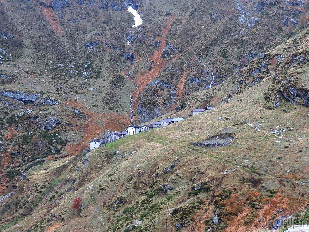 IMG 4772