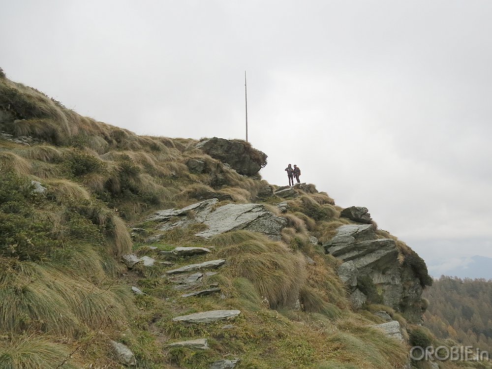 IMG 4774
