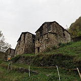 IMG 4695