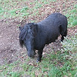 IMG 4697