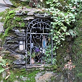 IMG 4706