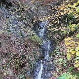 IMG 4708