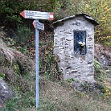 IMG 4713