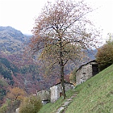 IMG 4716