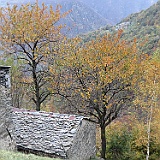IMG 4717