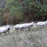IMG 4719