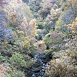 IMG 4720
