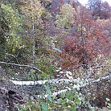 IMG 4722