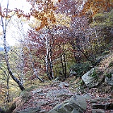IMG 4724