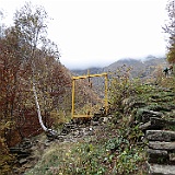 IMG 4725