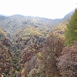 IMG 4726